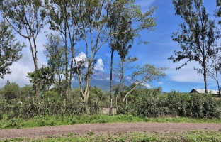 Combined Meru and Hanang Trek