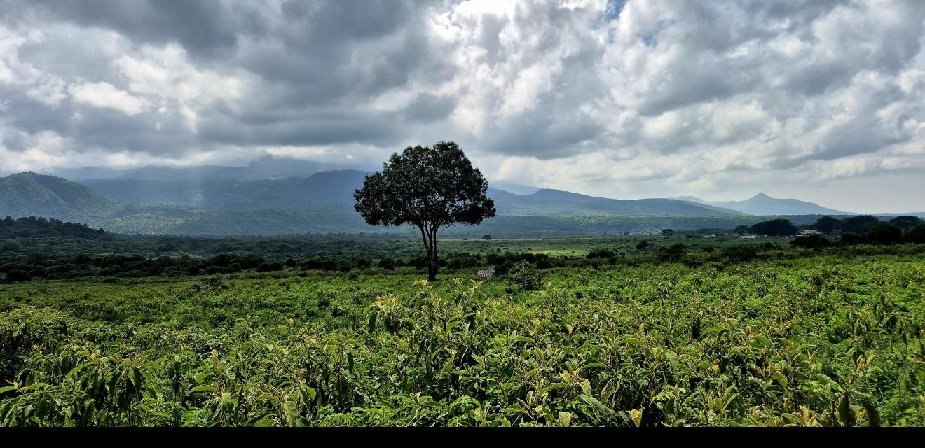 Mount Meru (Momella)