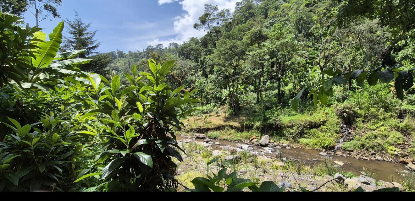 2 Day Cultural Experience: Materuni & Hadzabe