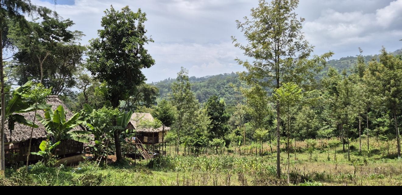 2 Day Cultural Experience: Materuni & Hadzabe