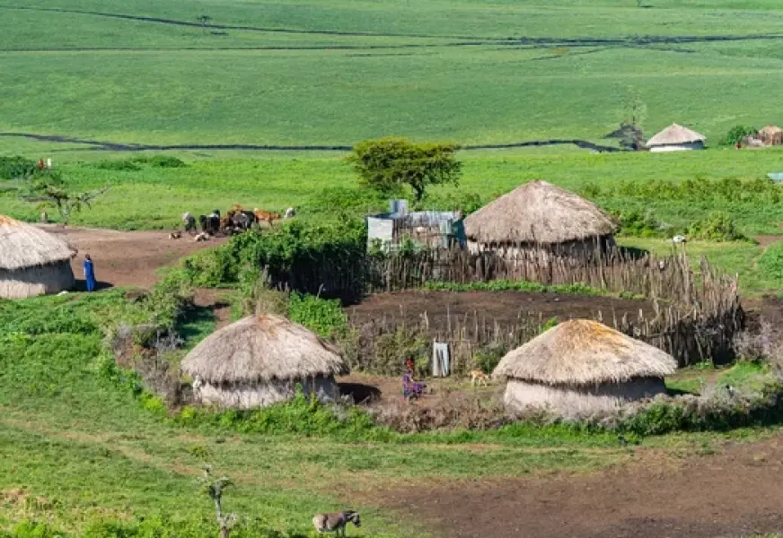 Cultural Experiences