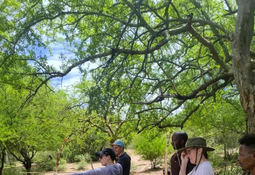 Cultural Experiences