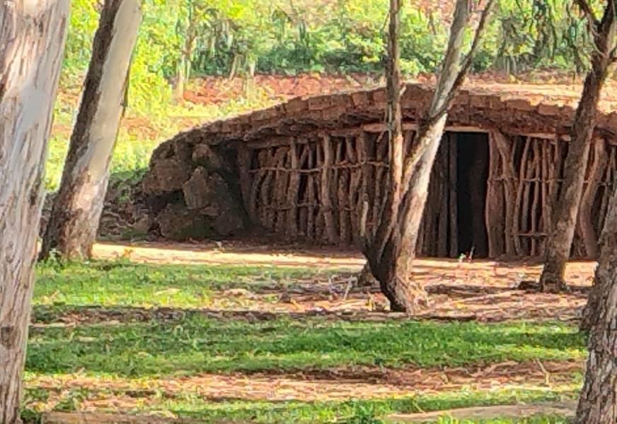 Cultural Experiences