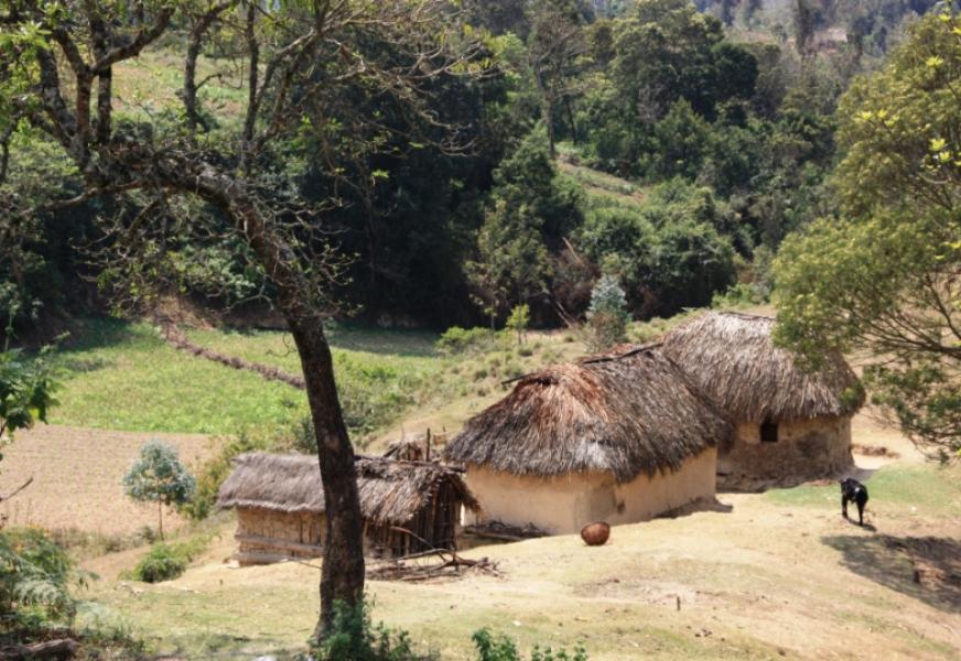 Cultural Experiences