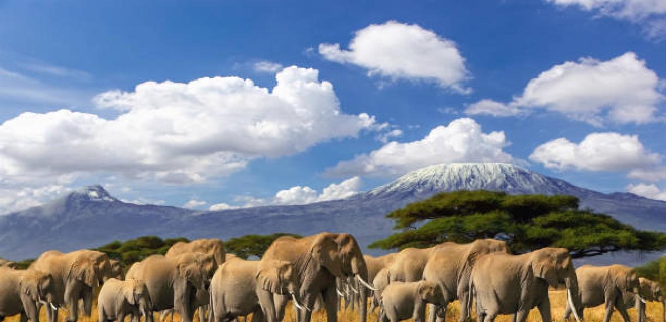 7 Day Big Five Explorer