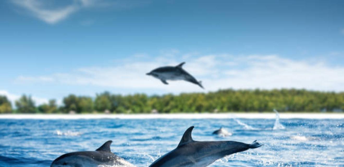 10 Day Zanzibar Beach Holiday