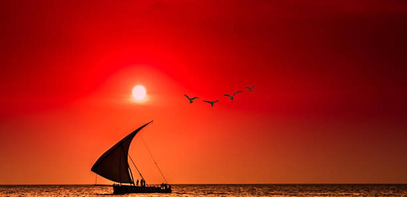 9 Day Wildlife Safari + Beach Holiday