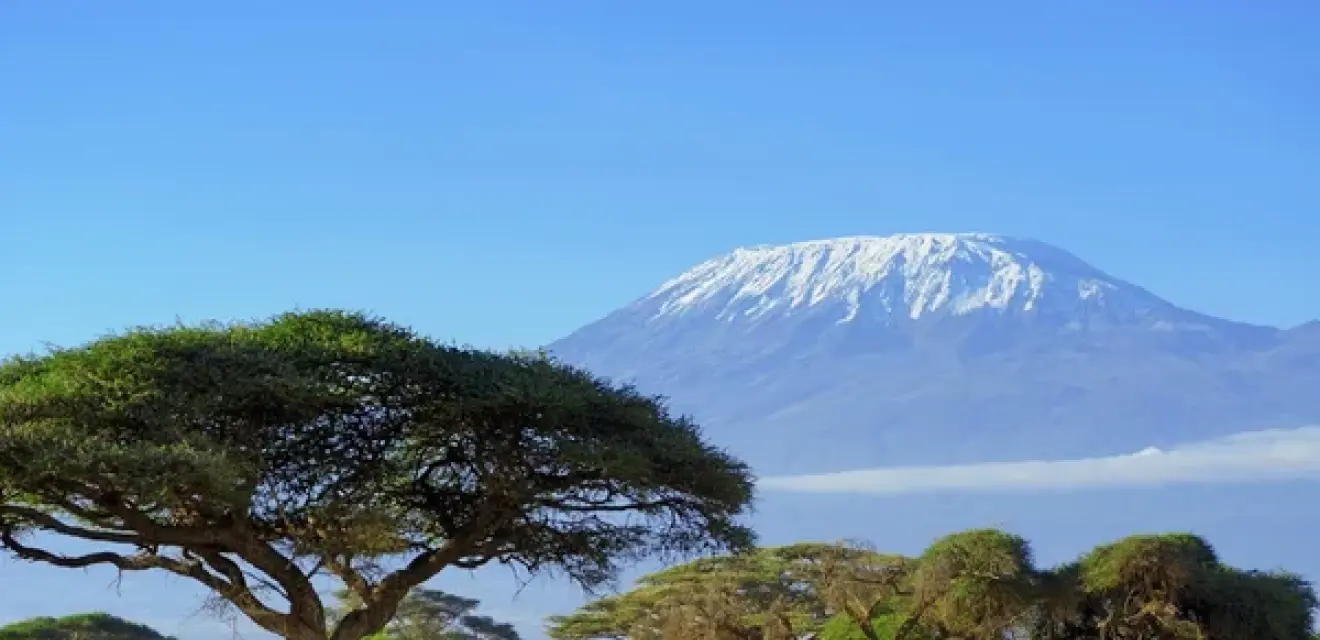 Kilimanjaro (Lemosho)