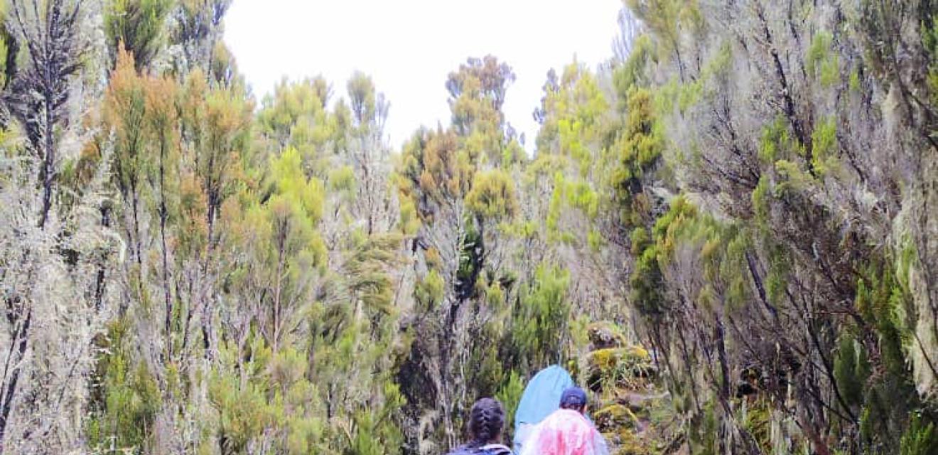 Kilimanjaro (Lemosho)