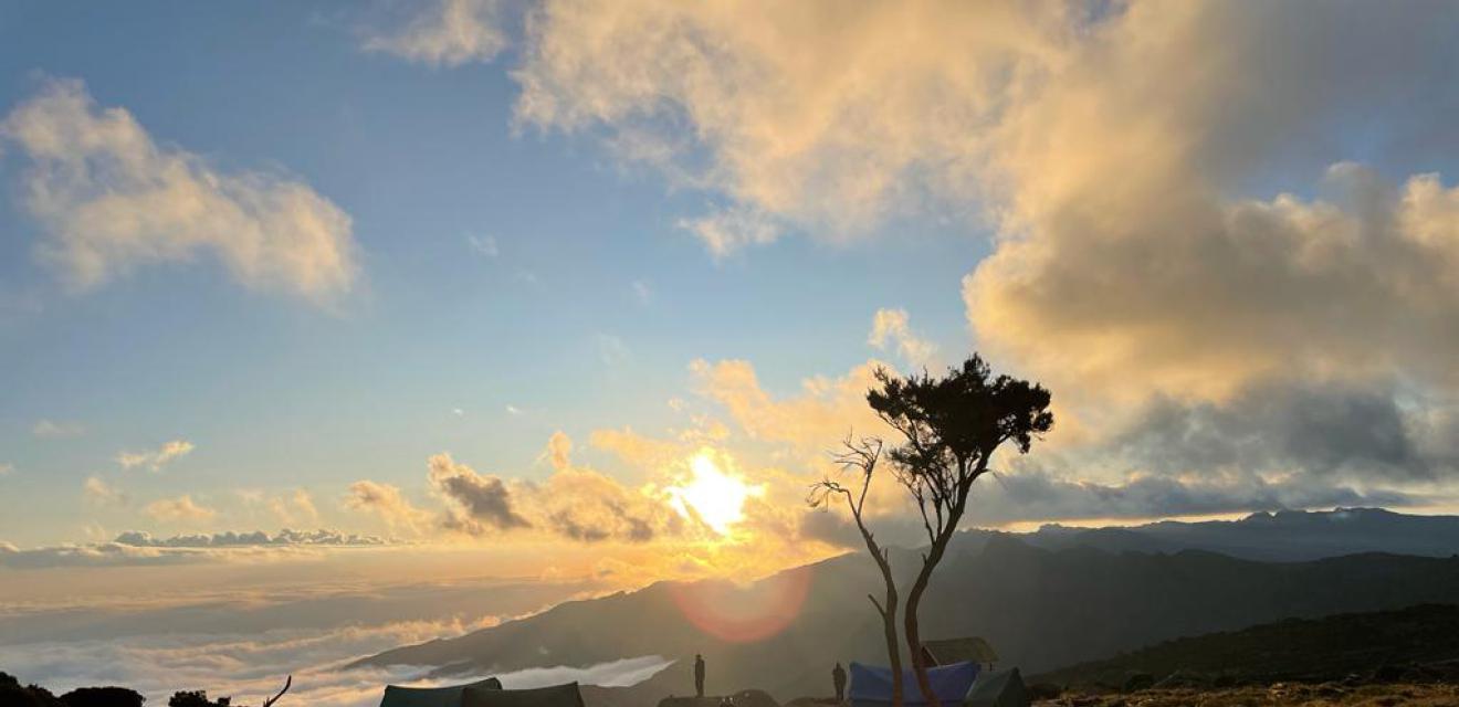 Kilimanjaro (Lemosho)