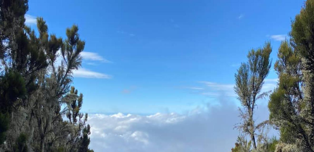 Kilimanjaro (Lemosho)