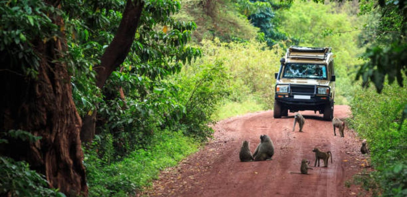 14 Day Wildlife Safari + Beach Holiday