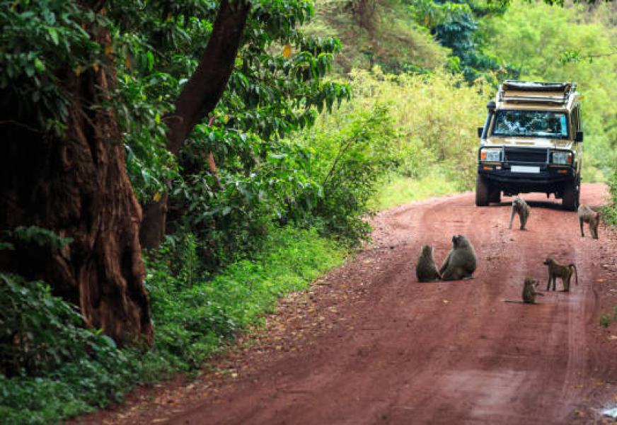 Lake Manyara National Park