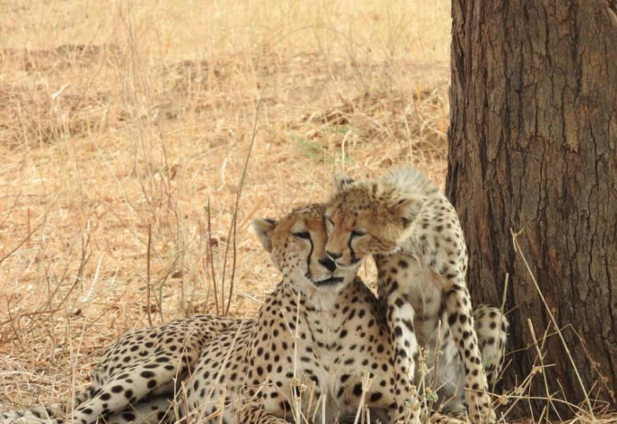 Serengeti National Park