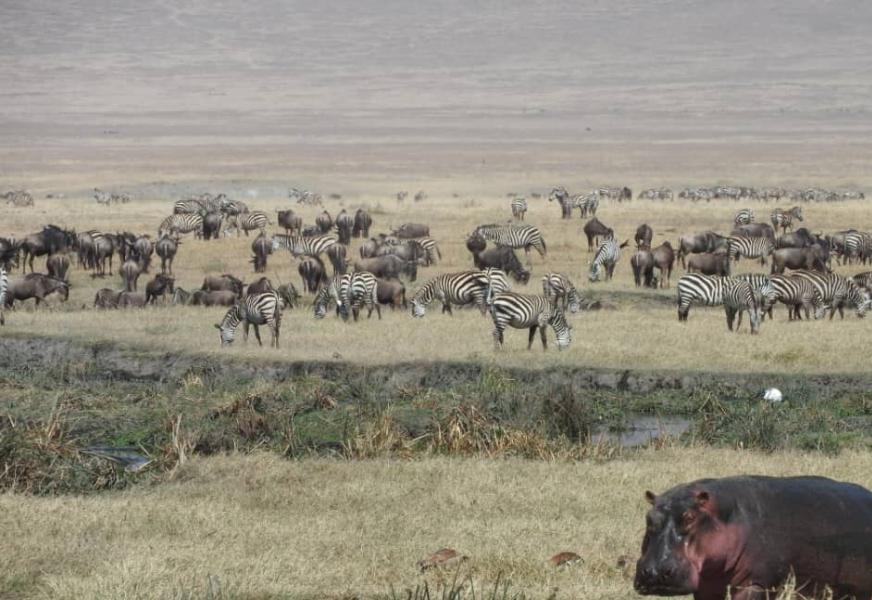 Serengeti National Park