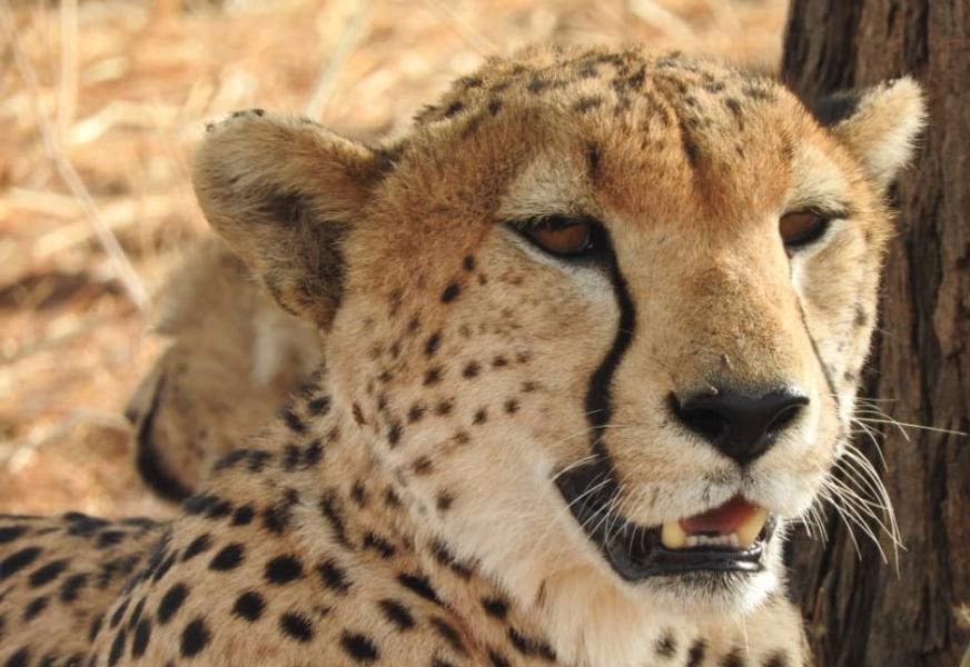 Serengeti National Park