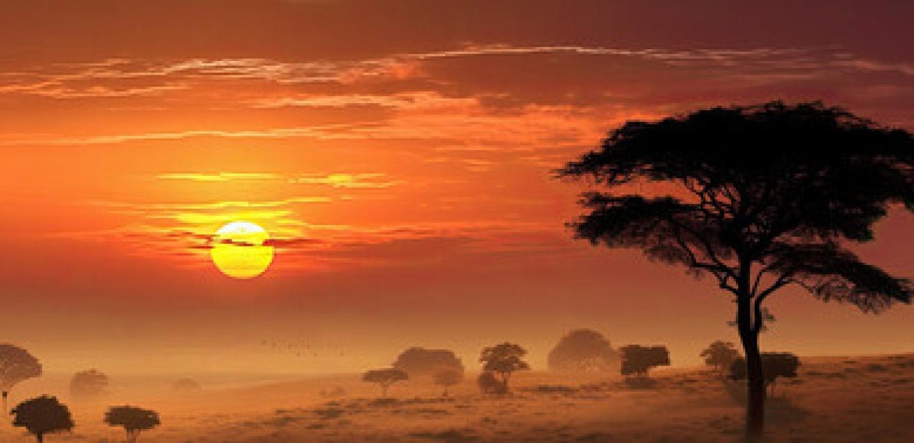 14 Day Wildlife Safari + Beach Holiday