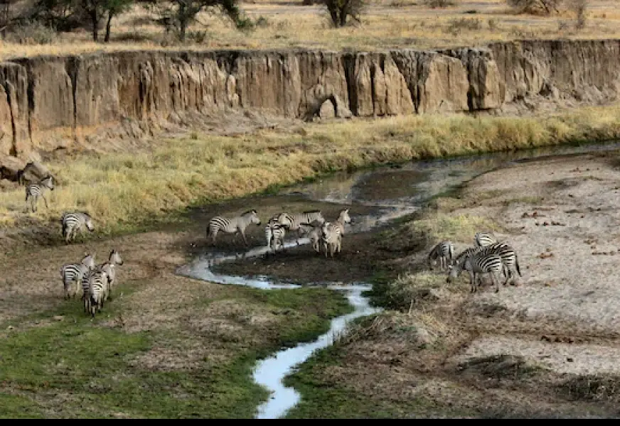 Tarangire National Park