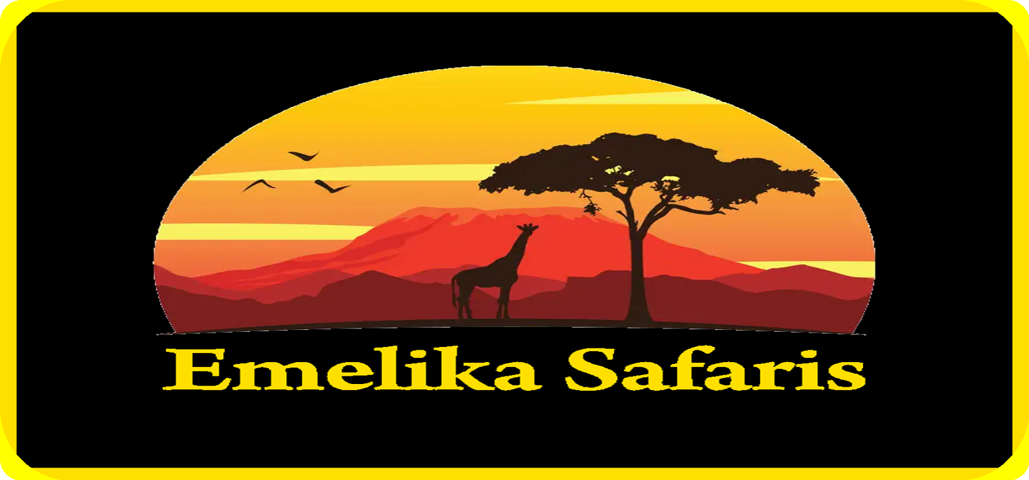 Emelika Safaris