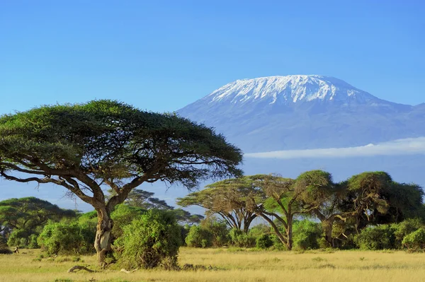 Mount Kilimanjaro