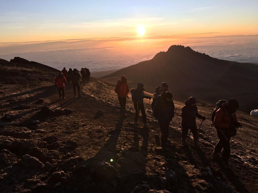 Mount Kilimanjaro hikers