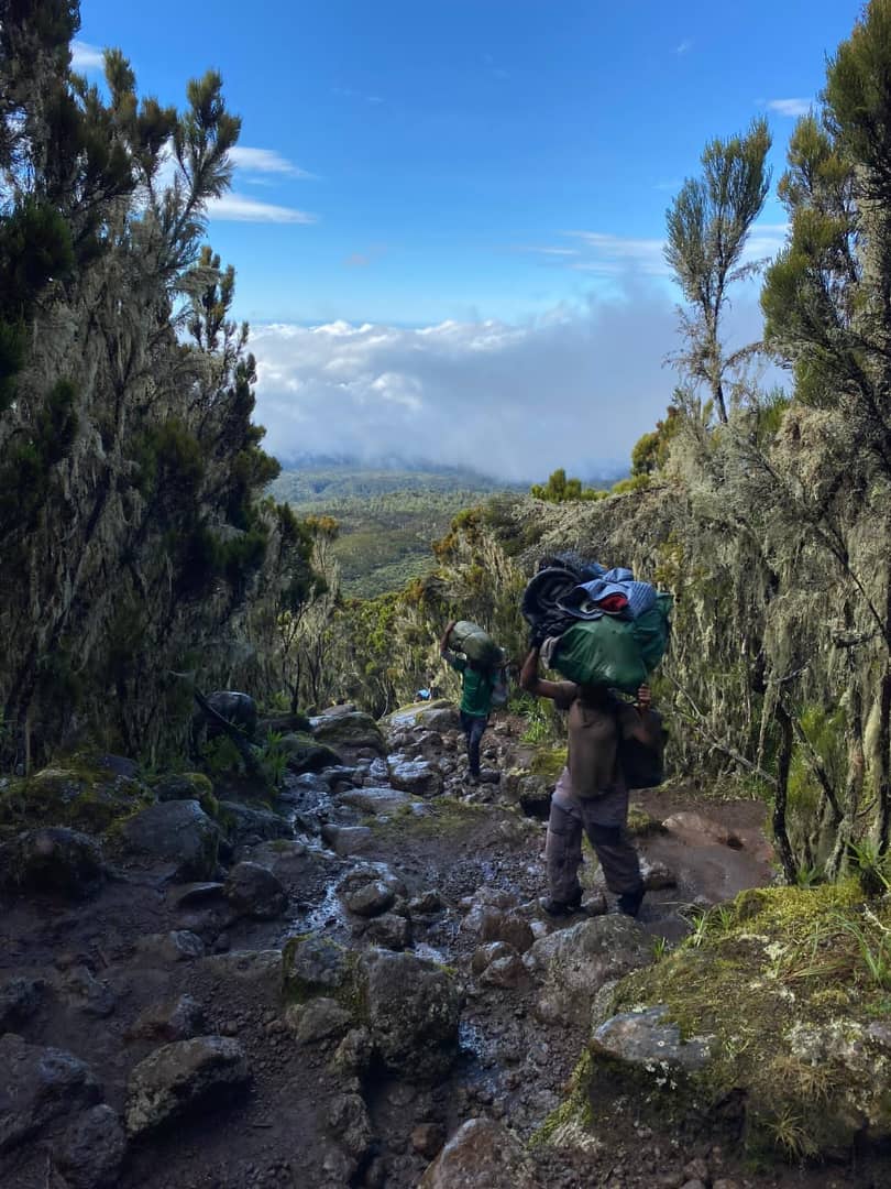 Mount Kilimanjaro trail