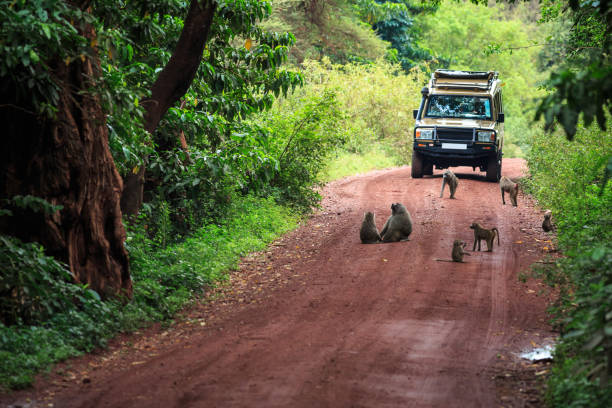 Manyara road