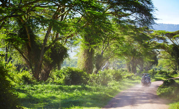 Ngorongoro Crater road