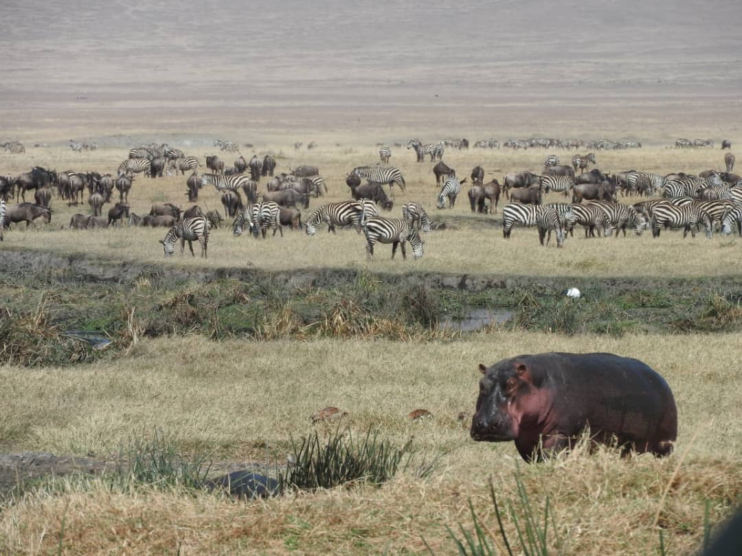 Serengeti National Park