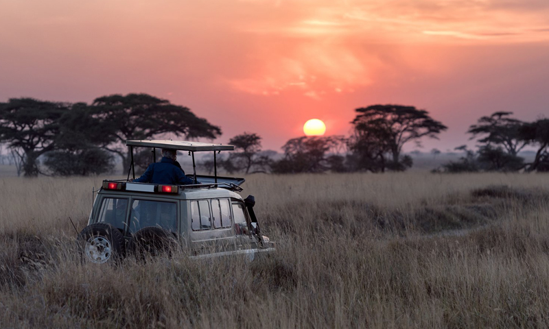 Jeep driving on safari