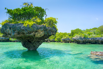 Zanzibar